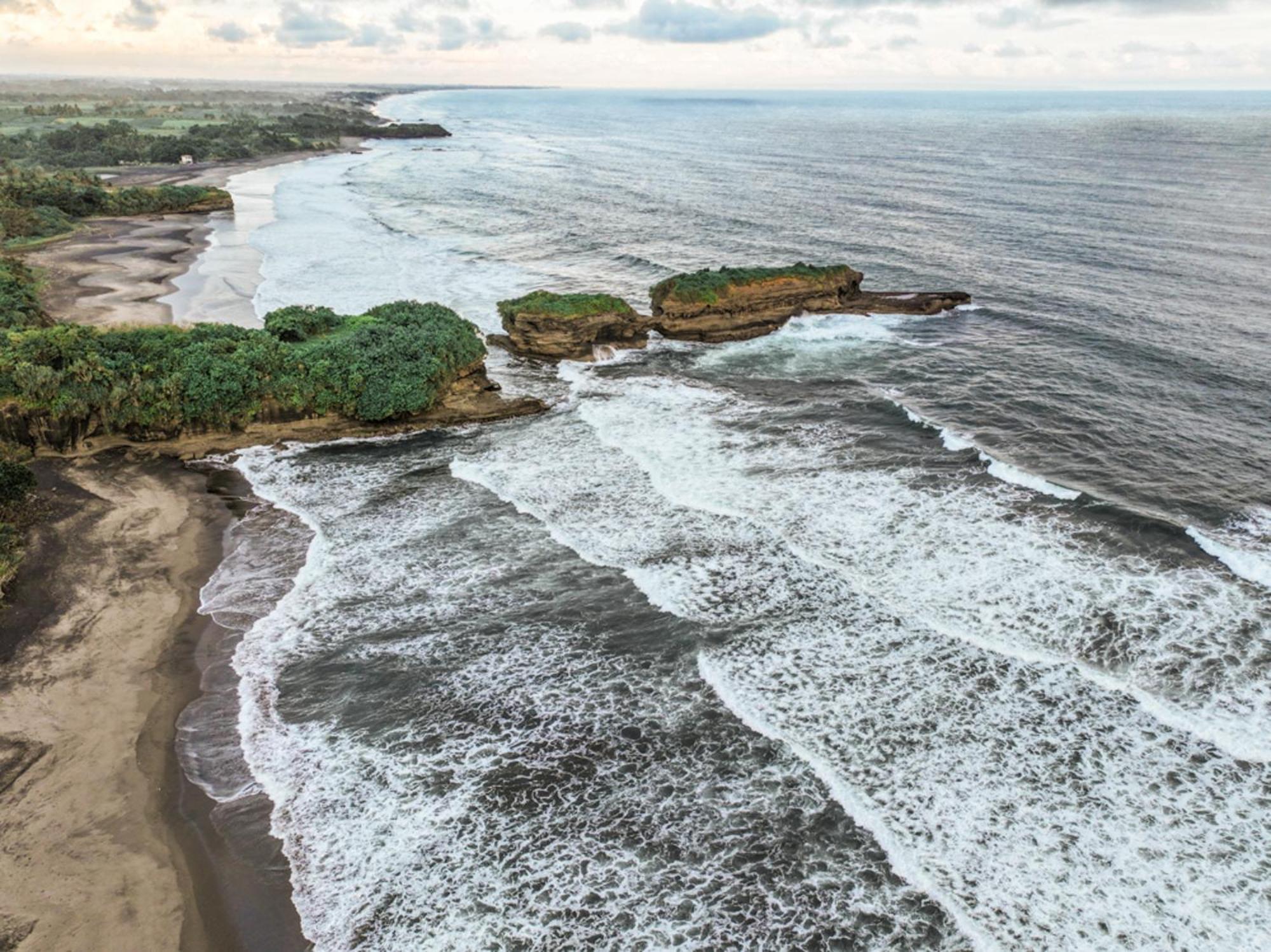 Апартаменты Bali Palms Табанан Экстерьер фото